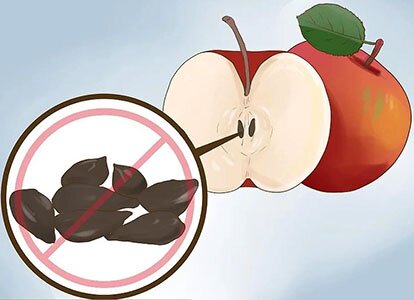 яблоки собаке